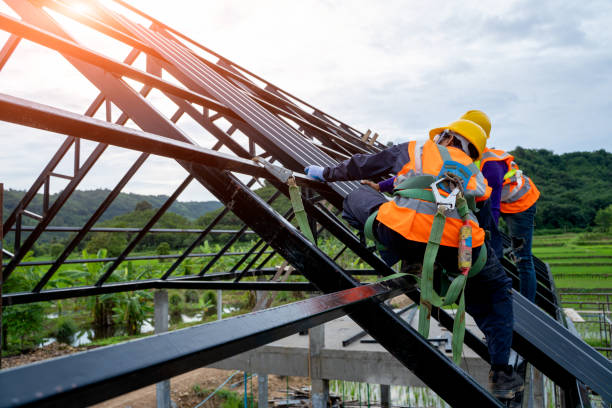 Best Roof Gutter Cleaning  in Milford, OH